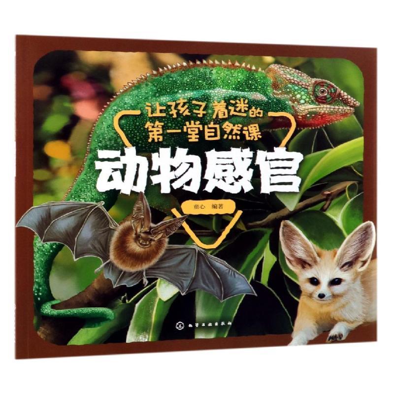 动物感官/让孩子着迷的第一堂自然课
