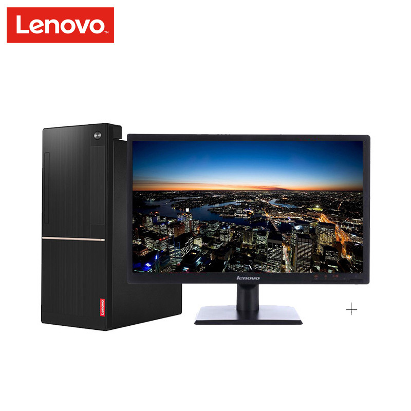 联想（lenovo）扬天T系列 家用 商用台式机电脑 23.8英寸屏(酷睿i5 8GB 1TB 独显）定制