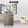容声冰箱BCD-421WSK1FPG粉韵流纱