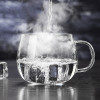 LEXON FEISILESI系列泡茶杯办公杯玻璃杯菲思乐斯花茶杯