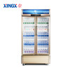 星星（XINGX） LSC-810WD 810升 双门冷藏展示柜 立式商用冰柜 保鲜柜 陈列柜 啤酒柜 饮料柜