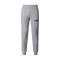 EMPORIO ARMANI EA7 阿玛尼 男款棉质运动裤 6GPP53 PJ05Z 3905-杂灰色 L