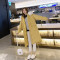 简妮薇(JIANNIWEI)中长款羽绒服棉服女2019冬季新款韩版加厚加绒棉衣宽松超大码棉 黄色 3XL