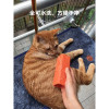 猫咪用品粘毛神器硅胶除吸猫毛清理器毛刷宠物毛发去地毯除浮毛刷