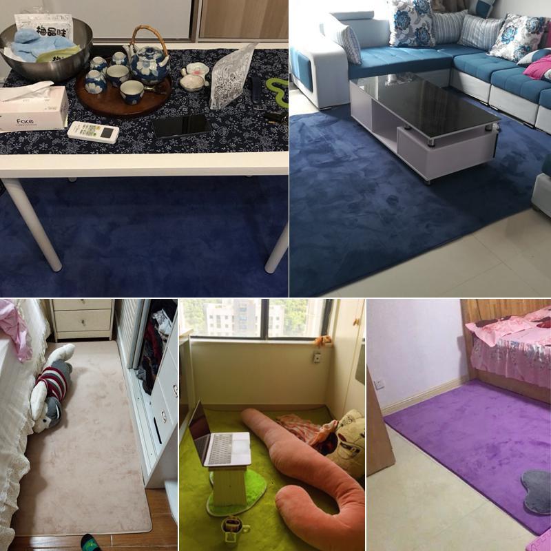 客厅地毯卧室满铺房间床边榻榻米阳台地垫沙发茶几垫_912