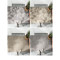 入户地垫进防滑垫家用口地毯入脚垫玄关耐磨防滑客厅垫_8 60x90cm 魔力几何-棕