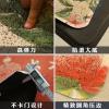 进丝圈地垫入户垫卫浴防滑地毯家用入厅阳台脚垫口垫子_1_668 120*180cm（直角无压边） 彩色多肉