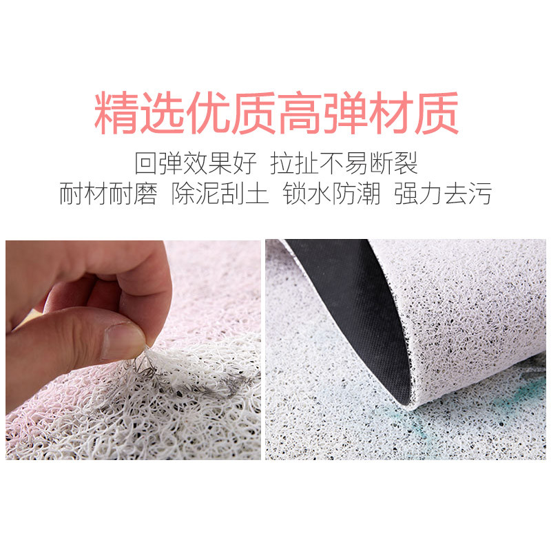 北欧简风垫玄关丝圈地垫可裁剪入户入脚垫家用大口地毯_1