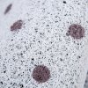 地垫垫进可裁剪入户防滑卫生间吸水客厅口家用厨房脚垫地毯_2 120*240cm【可裁剪无压边】 红花绿叶