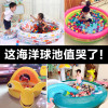 130CM时尚水族鱼