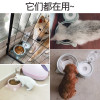 狗盆狗碗猫碗双碗自动饮水食盆狗狗碗猫咪水碗防打翻饭盆宠物用品_5 自动续水双碗（通用） 烟灰色
