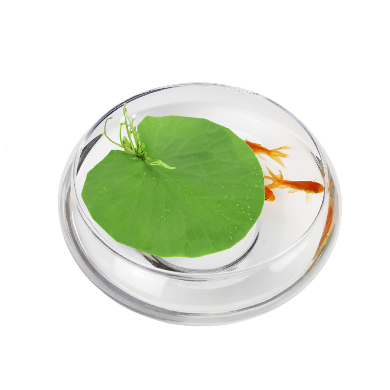 圆鱼缸小型桌面创意玻璃睡莲圆形水培植物金鱼缸一体水养家用造景_1