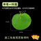 圆鱼缸小型桌面创意玻璃睡莲圆形水培植物金鱼缸一体水养家用造景_1 默认尺寸 中号一叶莲【不包含缸】