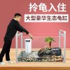 乌龟缸大型鱼宠物龟养乌龟专用水龟饲养箱特大号超大家用养龟大号 默认尺寸 52cm特大号豪华款：套餐一