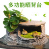 乌龟缸带晒台玻璃别墅养龟的专用缸鳄龟中型特大型鱼缸家用水陆缸_2 默认尺寸 66cm特大号：微景观套餐四