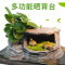 乌龟缸带晒台玻璃别墅养龟的专用缸鳄龟中型特大型鱼缸家用水陆缸_2 默认尺寸 52cm大号：微景观套餐一