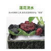 乌龟过滤器鱼缸顶滤盒水幕式顶滤上过滤盒鱼缸上置外置壁挂式自制 默认尺寸 小号裸盒（无水泵）