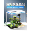 免换水生态鱼缸小型水族箱自循环客厅金鱼智能懒人家用创意带氧气 默认尺寸 YGD-500【江南山水】送礼包