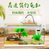 养龟的专用缸养乌龟缸龟生态玻璃水陆金鱼缸小型免换水别墅箱家用_1 默认尺寸 小号简约款：套餐二