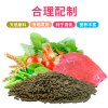小乌龟饲料幼龟巴西鳄鱼龟食粮食中华龟鳄龟粮大火焰料通用专用 默认尺寸 200g中颗粒*1包