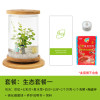 斗鱼生态瓶封闭小鱼瓶免换水瓶装观赏鱼玻璃桌面透明微景观鱼小型_1 默认尺寸 旋转鱼缸-生态套餐一