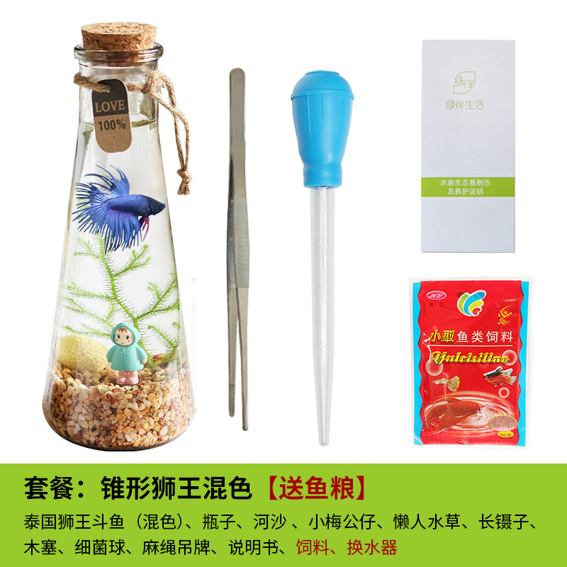 斗鱼生态瓶封闭小鱼瓶免换水瓶装观赏鱼玻璃桌面透明微景观鱼小型_1 默认尺寸 锥形：狮王+吸便器
