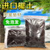 椰土蜘蛛乌龟过冬装备沙子角蛙专用泥用品冬天冬眠沙小房子恒温箱 默认尺寸 5斤（送2包苔藓）