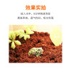 椰砖陆龟箱椰土爬宠垫材乌龟冬眠用品沙子专用土角蛙泥过冬沙沙土 默认尺寸 四块【送1包苔藓】付3块的钱