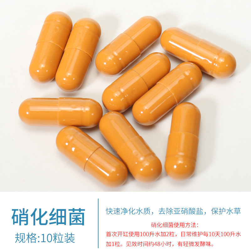 渔缸金鱼鱼缸过滤棉洗不烂反复用过滤袋魔袋魔毯生态毯净水加厚小 默认尺寸 【10粒试用装】散装