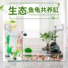 乌龟金鱼鱼缸龟鱼和鱼龟混养缸两用一体生态客厅深水龟小型二合一 默认尺寸 中号单养缸裸缸（送礼包）