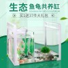 乌龟金鱼鱼缸龟鱼和鱼龟混养缸两用一体生态客厅深水龟小型二合一 默认尺寸 大号混养缸：【裸缸】+送礼包