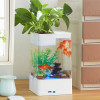 水培植物养鱼缸一体家用塑料创意懒人小型免换水桌面斗鱼专用客厅_1 默认尺寸 黑色标配+绿萝+氧气泵