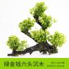 懒人水有茎类鱼缸装饰水榕沉木净化水质的水辣椒榕水族箱_2_159 默认尺寸 【六头】绿金钱六头沉木
