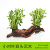 沉木水缸鱼缸装饰造景套餐小水榕类懒人新手真水椒植物_1 默认尺寸 小对叶双头沉木