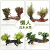 沉木水缸鱼缸装饰造景套餐小水榕类懒人新手真水椒植物_1 默认尺寸 【三头】红玫瑰三头沉木