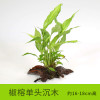 沉木水缸鱼缸装饰造景套餐小水榕类懒人新手真水椒植物_1 默认尺寸 【单头】椒榕单头沉木