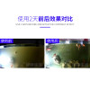 胶囊硝化菌水族干粉金鱼鱼缸净水剂养鱼用品活性细菌_1 默认尺寸 1瓶