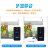 车载冲养鱼缸充电氧气泵无电增氧泵供氧器两用打养机鱼用小型户外 默认尺寸 QBD-91:单孔配气石+水妖精过滤