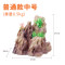 鱼缸装饰假山造景石头塑料水植物仿真悬水族布景漂 默认尺寸 普通款中号松皮石