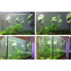 鱼缸装饰假山造景石头塑料水植物仿真悬水族布景漂 默认尺寸 普通款中号松皮石