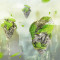 鱼缸装饰假山造景石头塑料水植物仿真悬水族布景漂 默认尺寸 普通款大号松皮石