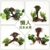 鱼缸装饰造景套餐真水沉木后景缸植物淡水小水榕养鱼懒人_1 默认尺寸 六头红松尾加红玫瑰