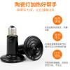 龟箱保温灯乌龟发热灯泡蜥蜴角蛙爬虫加热灯泡陆龟陶瓷灯爬宠温控 默认尺寸 100W陶瓷加热灯