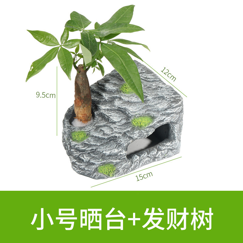 龟缸爬台造景假山晒背台龟台喂食用品用具头龟趴台大号_1 默认尺寸 小号方形晒台+发财树