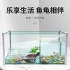 玻璃乌龟缸家用水陆缸带晒台别墅小大型鱼缸龟鱼混养缸乌龟专用缸_2 默认尺寸 中号龟缸（35*20*20）套餐一