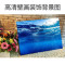 鱼缸壁纸背景纸画高清图3d鱼缸装饰品背景画双面造景珊瑚石背景板_2 默认尺寸 70高122长