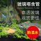 鱼缸喂食管喂鱼喂虾神器喂食器玻璃喂食定位鱼缸投食器高清 默认尺寸 高清玻璃喂食管30CM+喂食盒