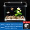 鱼缸小型超白玻璃热带水族箱长方形生态水缸中型客厅金鱼缸_3 默认尺寸 350带水泵LED灯+白荷花鹅卵石造景