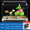 鱼缸小型超白玻璃热带水族箱长方形生态水缸中型客厅金鱼缸_3 默认尺寸 500带水泵LED灯+红荷花鹅卵石造景