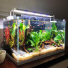 加宽超白玻璃鱼缸客厅小型生态水族箱水缸中型桌面金鱼缸 默认尺寸 金晶超白玻璃HEK-480加宽裸缸（带底膜）